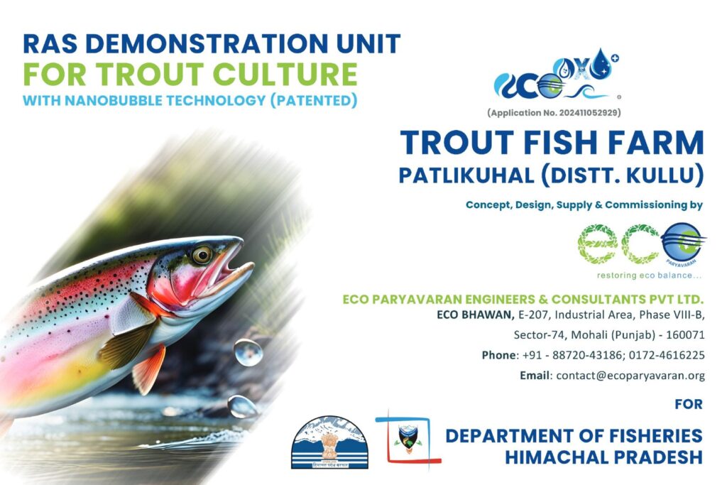 RAS Demonstration for Trout Culture