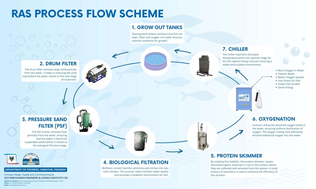 RAS PROCESS FLOW SCHEME